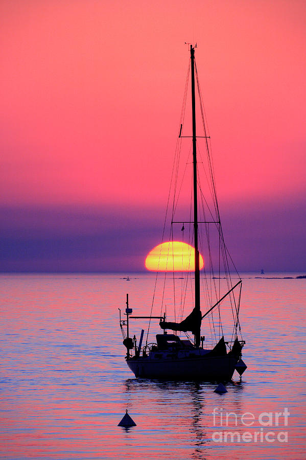 Lonely sunset Photograph by Bernardo Galmarini
