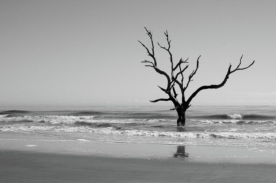 Lonely Surf Photograph by Douglas Walker - Fine Art America