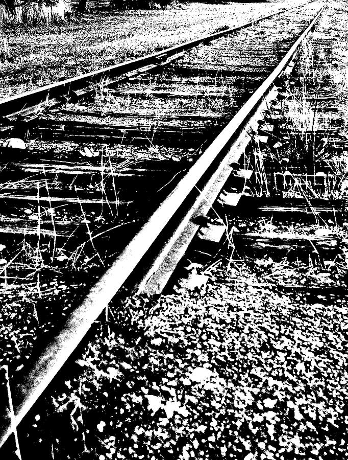 Lonely Trax Photograph by Tim Dussault