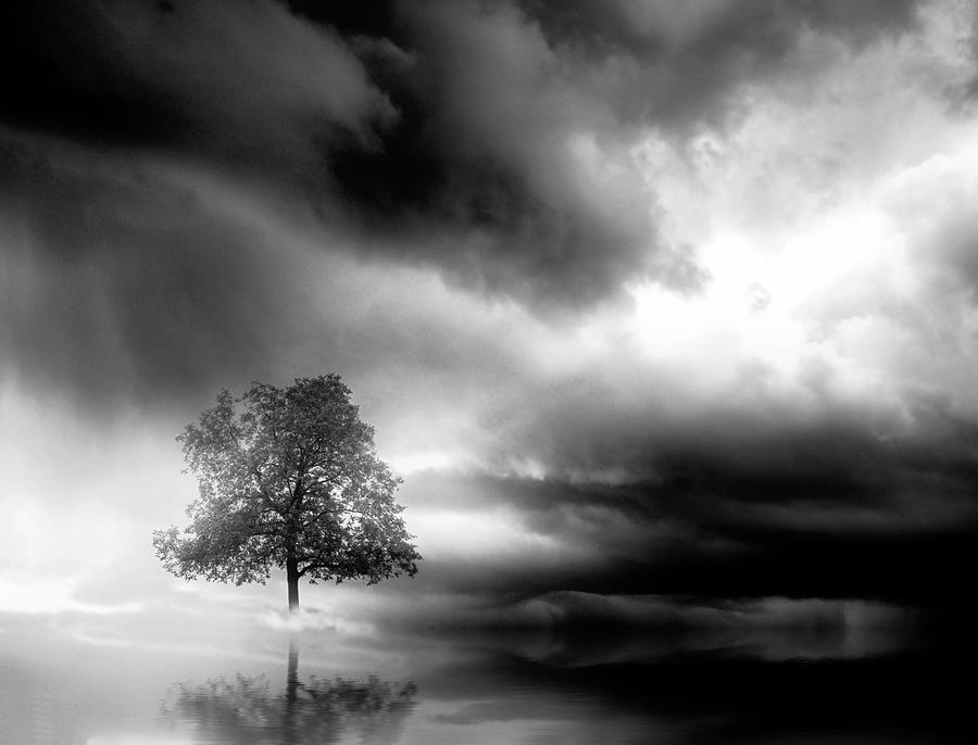 Lonely tree and dramatic sky - black and white Digital Art by Lilia D