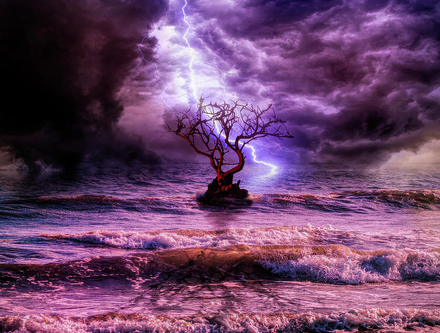 Lonely tree and the wild weather Photograph by Lilia D