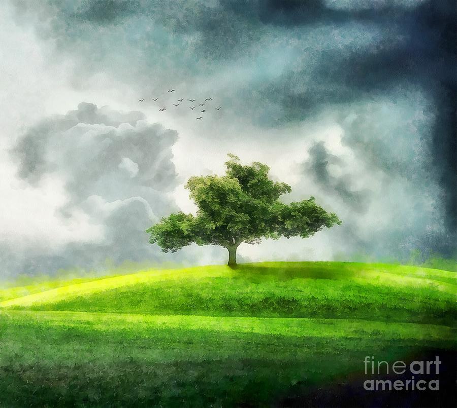 Lonely Tree By John Springfield Painting