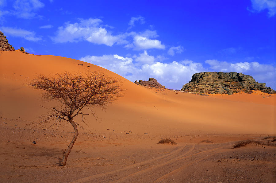 Памятник в пустыне. Desert God.