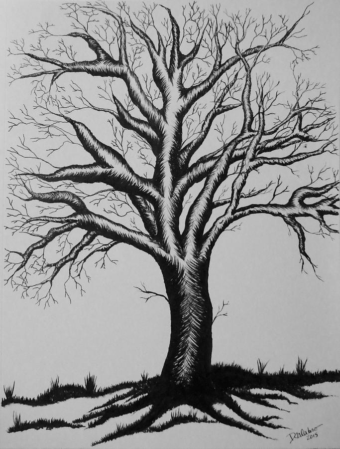 Lonely Tree Drawing by Lorena Calabro - Fine Art America