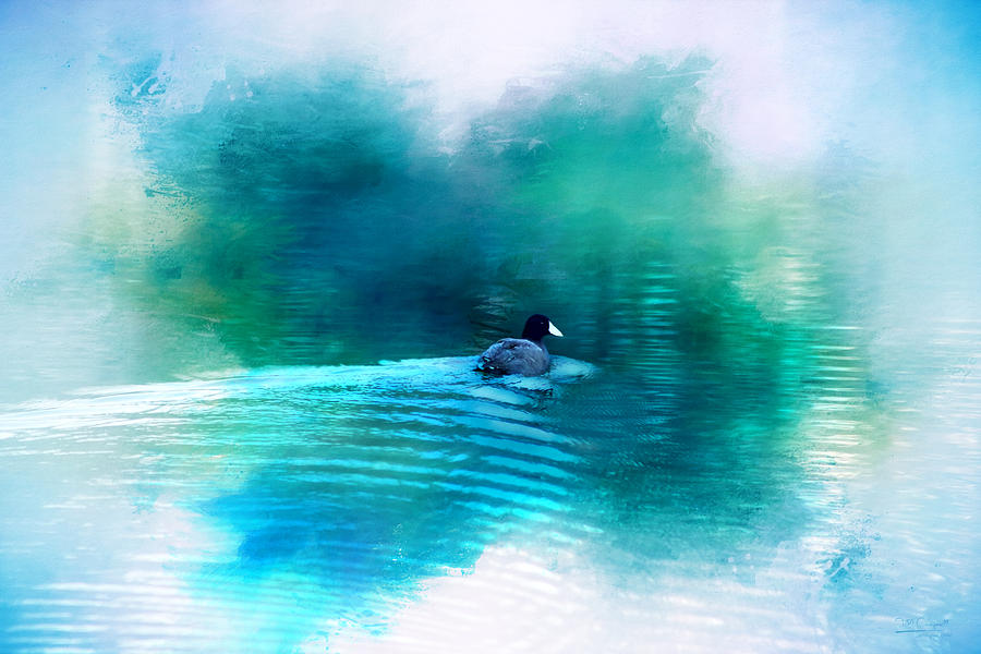 Duck Photograph - Lonely Without You by Theresa Campbell