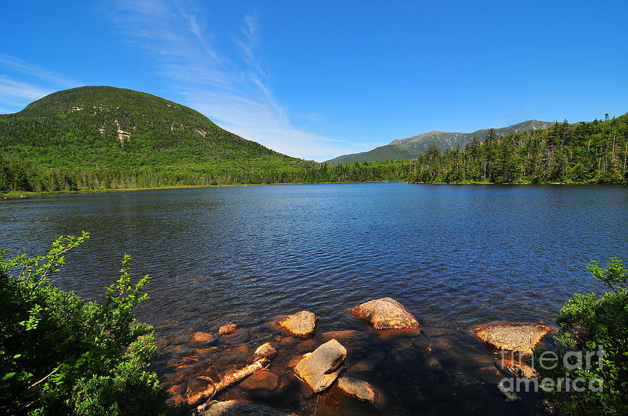 Summer Photograph - Lonesome Lake by Catherine Reusch Daley