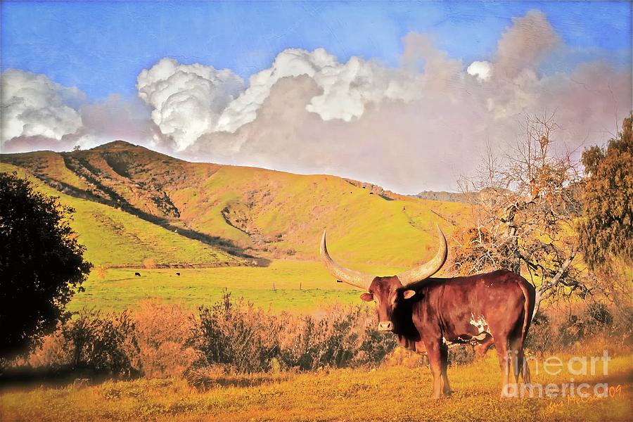 Bull Photograph - Lonesome Longhorn Ojai California by Gus McCrea