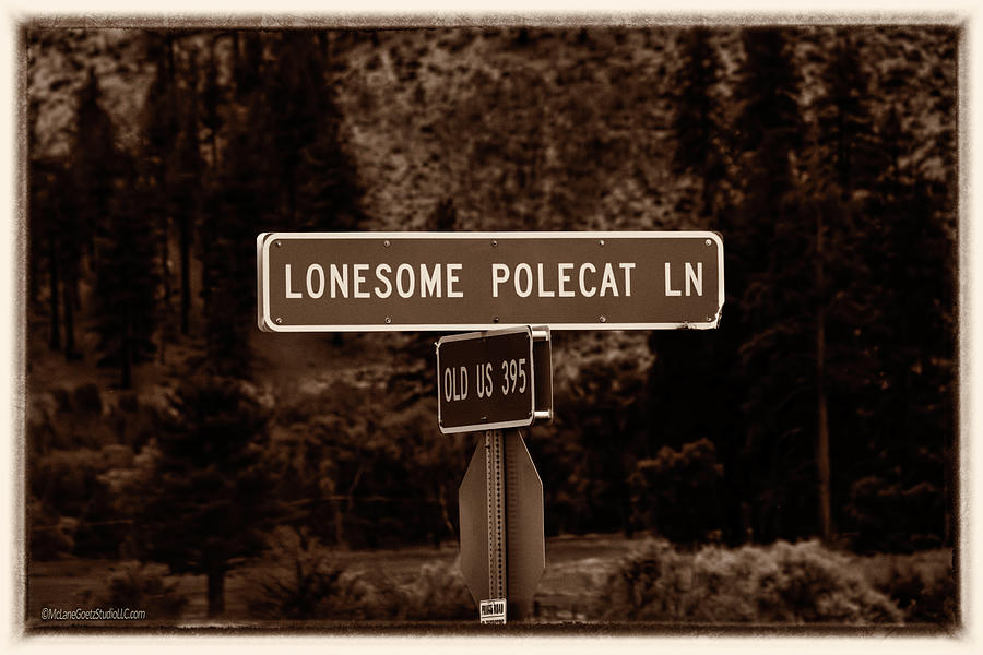 Lonesome Polecat Lane Photograph by LeeAnn McLaneGoetz McLaneGoetzStudioLLCcom