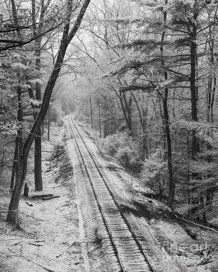 Lonesome Rails - Railroad in Snowy Forest Photograph by JG Coleman