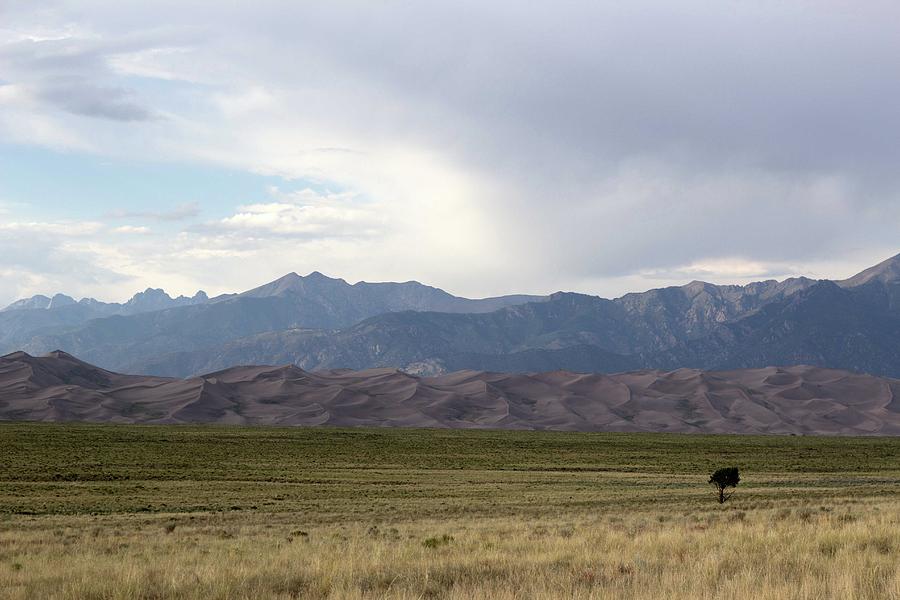 Lonesome by Robert Gray Lonesome by Robert Gray