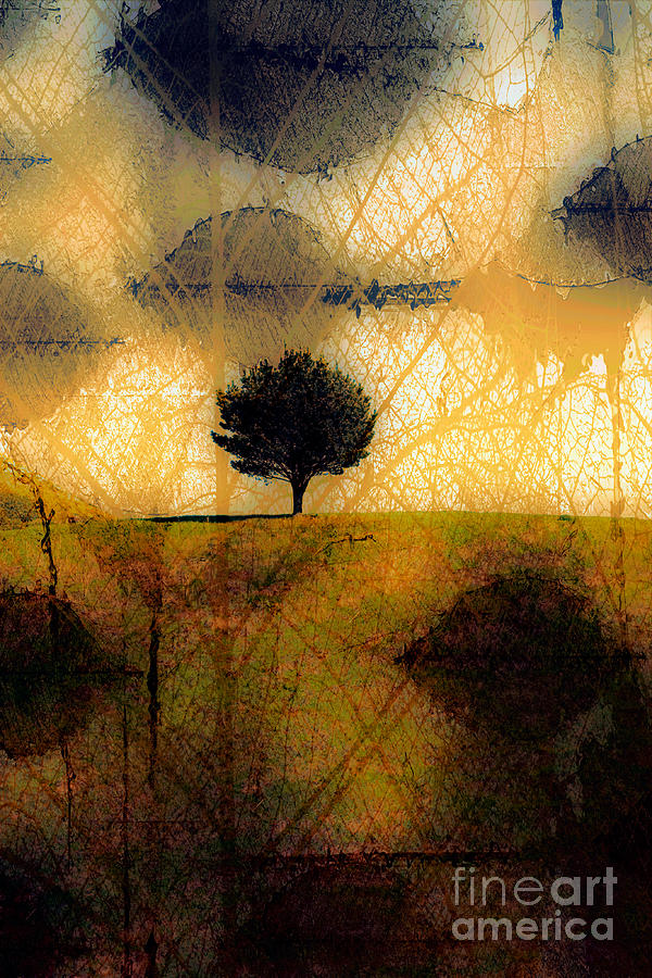 Lone Tree on a Hill Abstract in Autumn Photograph by Linda Matlow