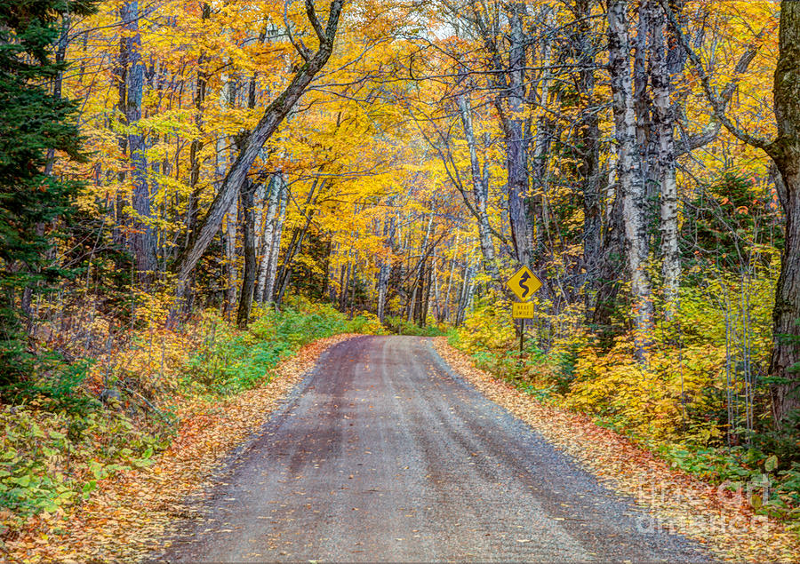 Long and Winding Autumn Roads North Shore Minnesota Photograph by Wayne Moran