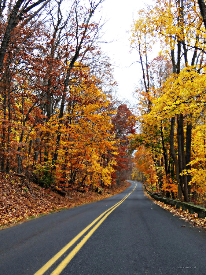 Fall Photograph - Long and Winding Road by Dark Whimsy