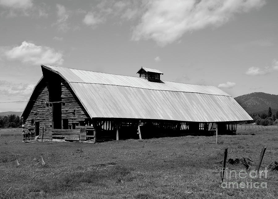 Long Barn Photograph by Denise Bruchman