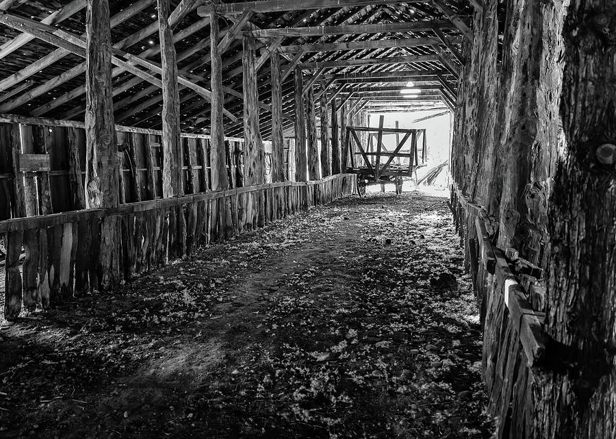 Long Barn Interior Photograph by Steven Clark