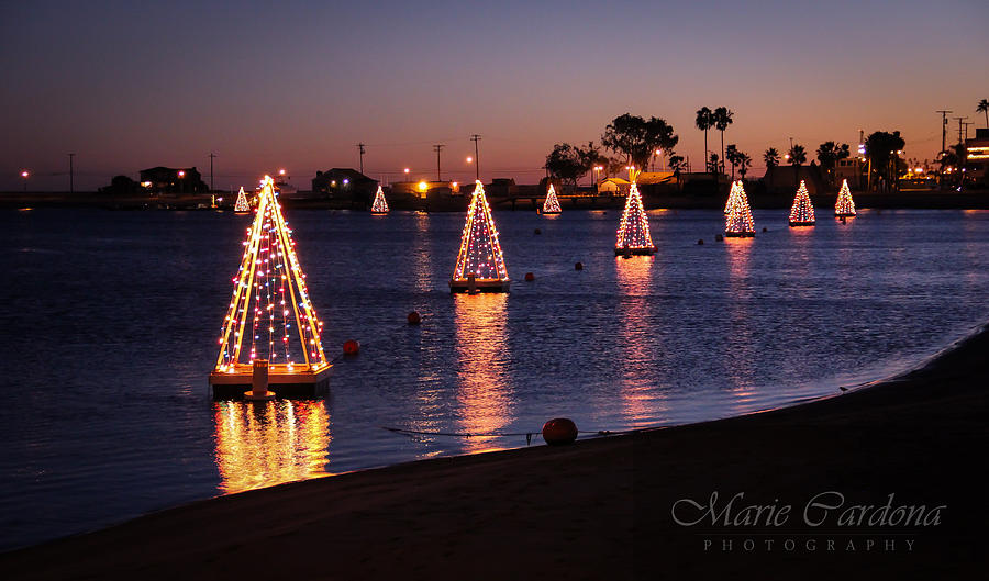 Christmas Photograph - Long Beach Christmas  by Marie  Cardona