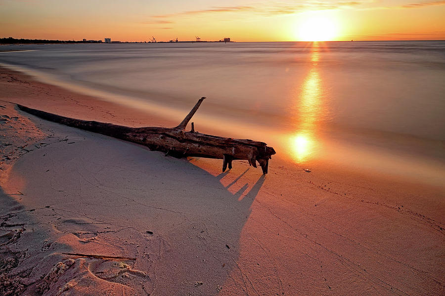 Long Beach Driftwood - Mississippi - Sunrise Photograph by Jason Politte