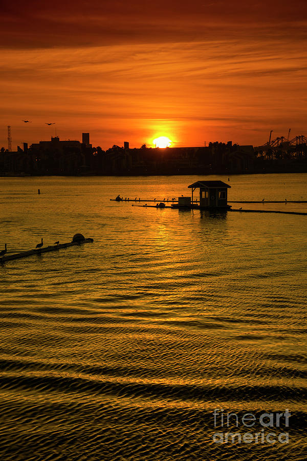 Long Beach Sunset Photograph by Mariola Bitner