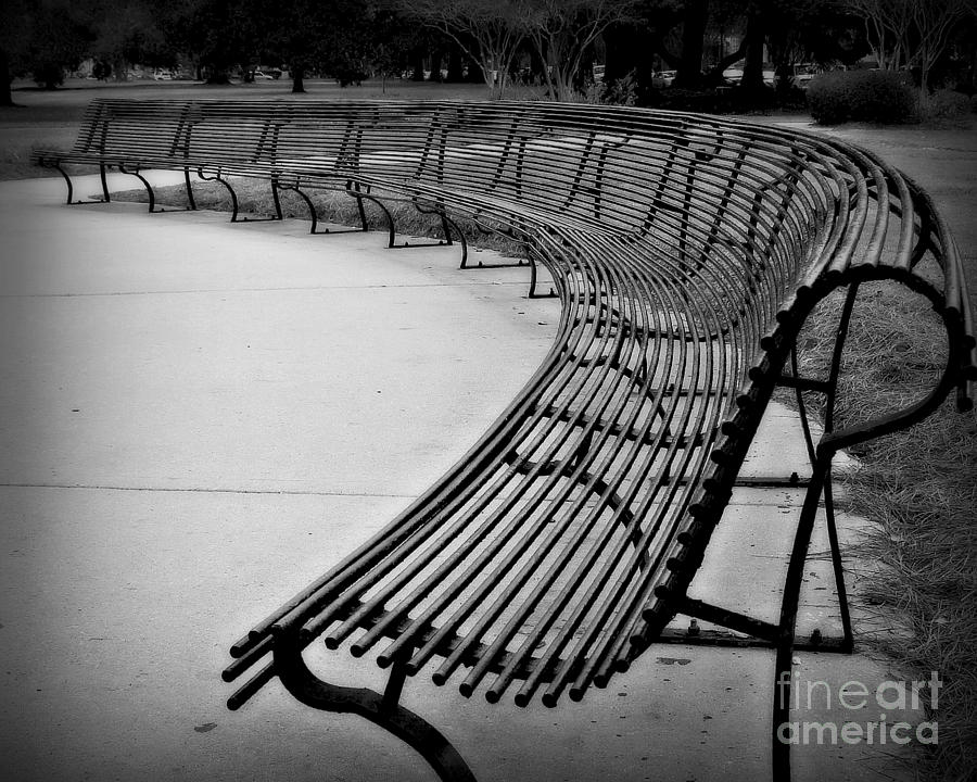 Long Bench Photograph by Perry Webster