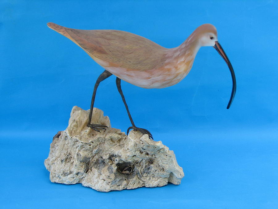 Long-billed Curlew Sculpture by Jack Murphy