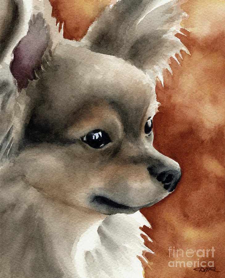 Chihuahua Painting - Long Coat Chihuahua by David Rogers
