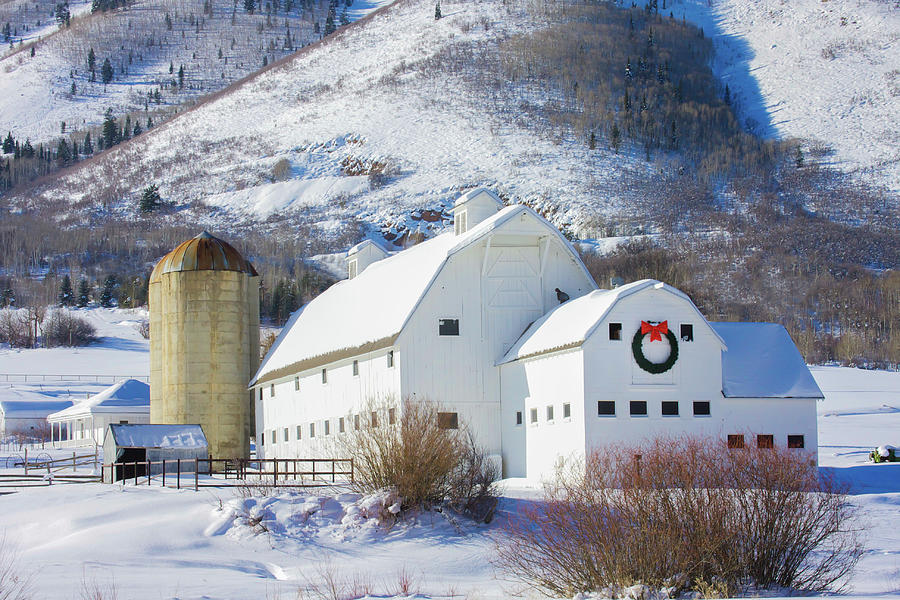 Old Barn in Winter Landscape by Terry Walsh Old Barn in Winter Landscape by Terry Walsh