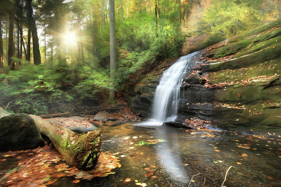 Long Creek Falls Photograph by Lori Deiter