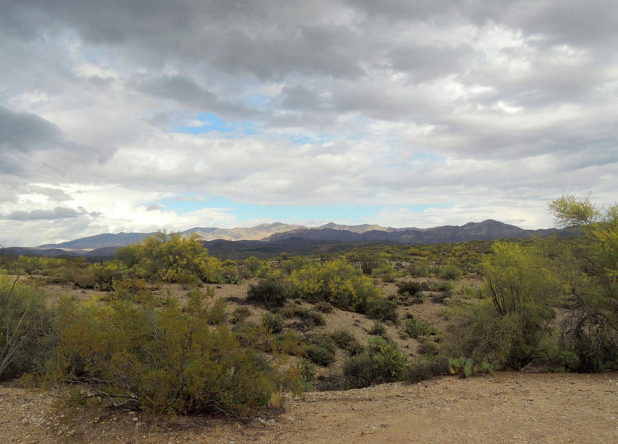 Long Desert View Photograph by Gordon Beck