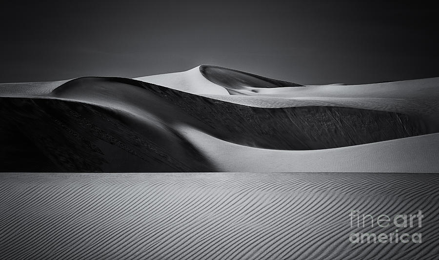 Long Dunes And Shadows Photograph by Mimi Ditchie