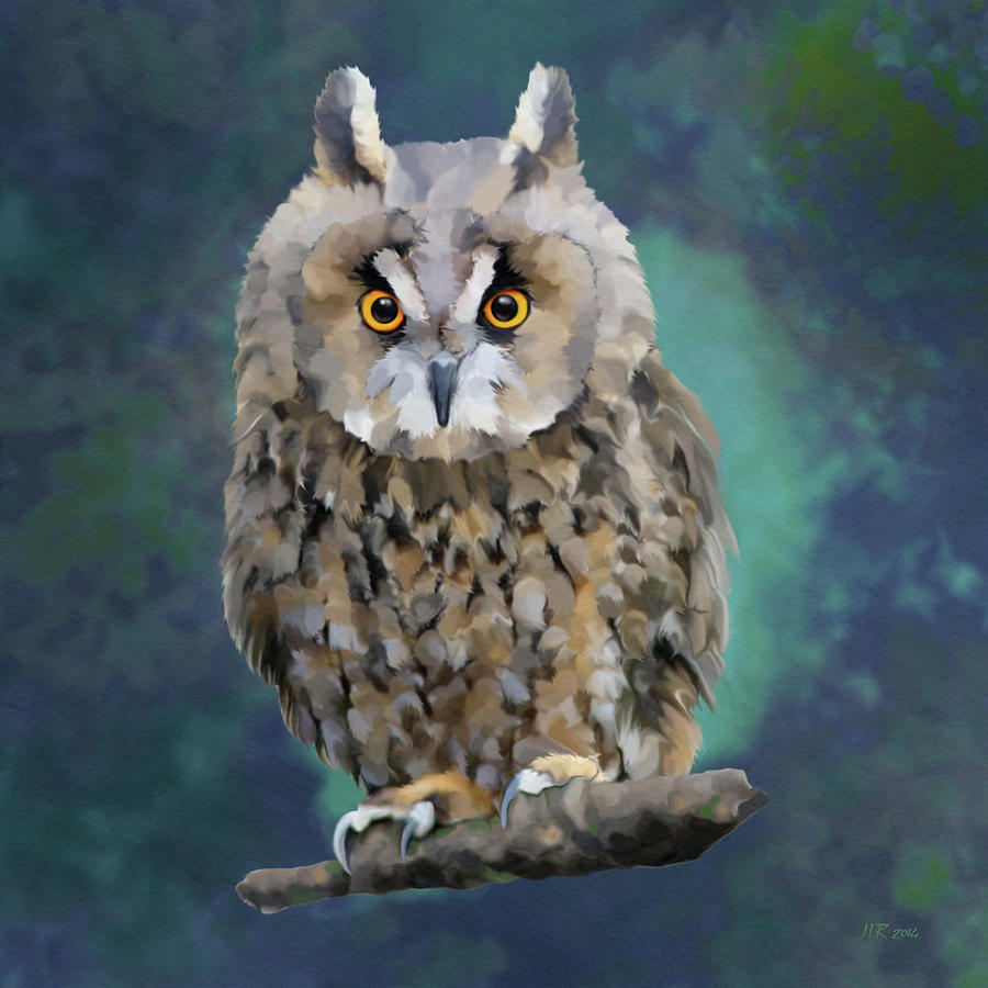 Long Eared Owl Painting by Bamalam Photography