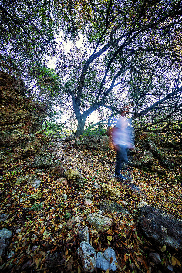 Long Photograph - Long Exposure Peddernales Falls State Park Hike by Micah Goff