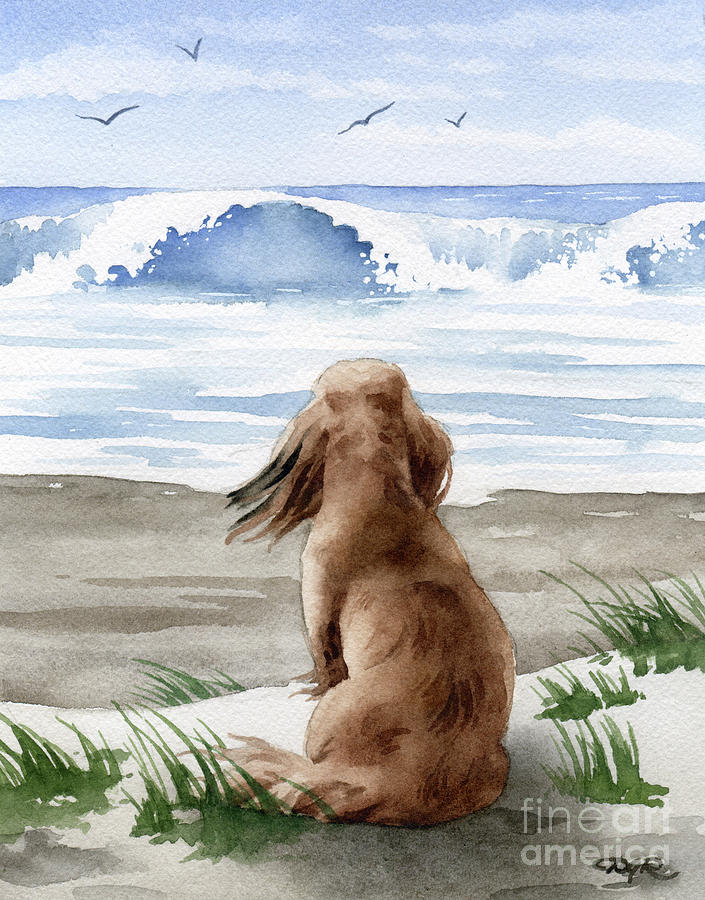 Dachshund Painting - Long Haired Dachshund at the Beach by David Rogers