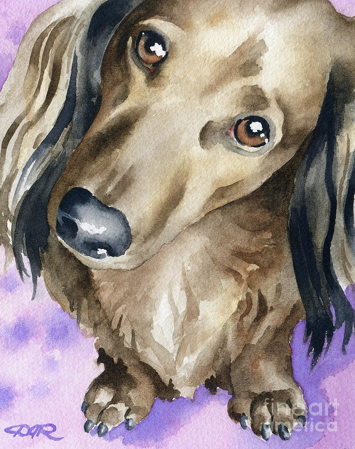 Dachshund Painting - Long Haired Dachshund  by David Rogers