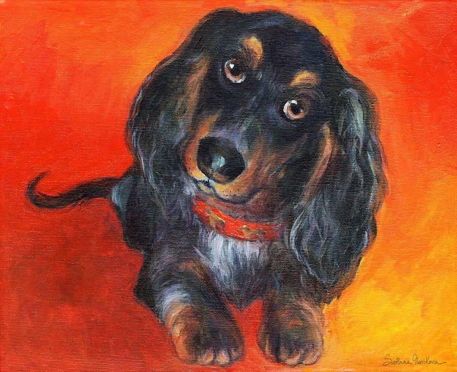 Dachshund Painting - Long haired Dachshund dog puppy Portrait painting by Svetlana Novikova