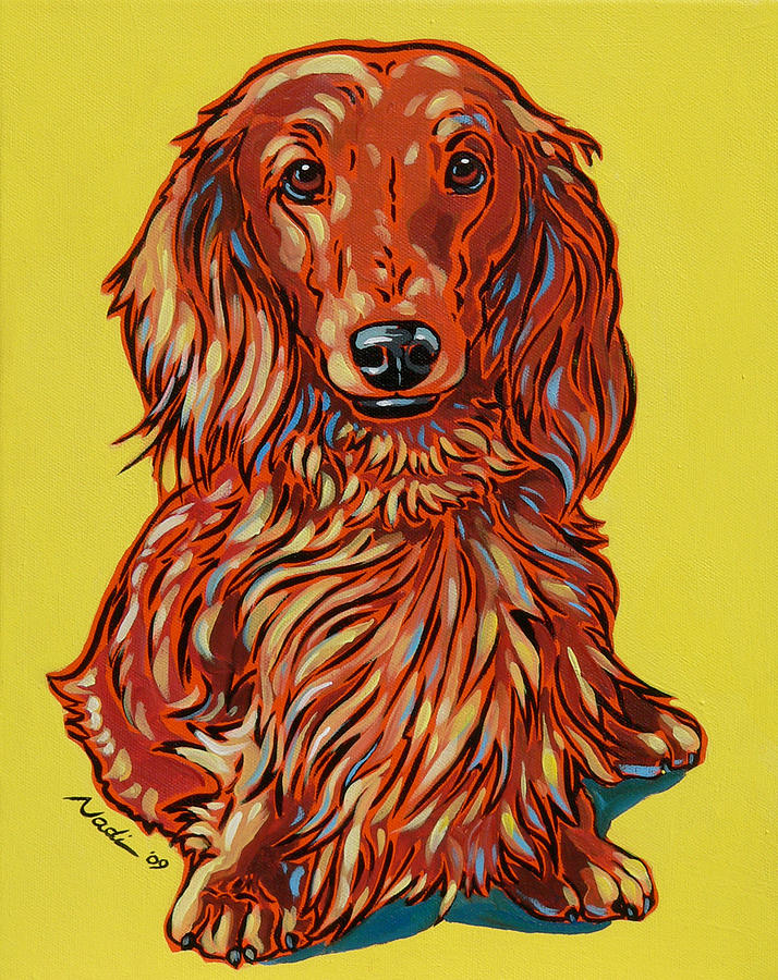 Long Haired Dachshund Painting by Nadi Spencer