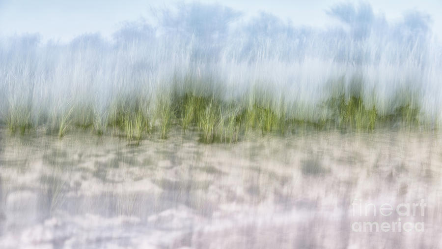 Long Island Grassy Dunes Photograph by Alissa Beth Photography