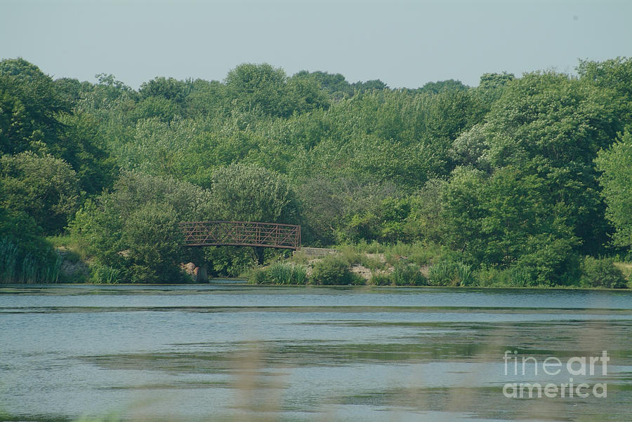 Long Island Lake Photograph by J Bloomrosen - Fine Art America