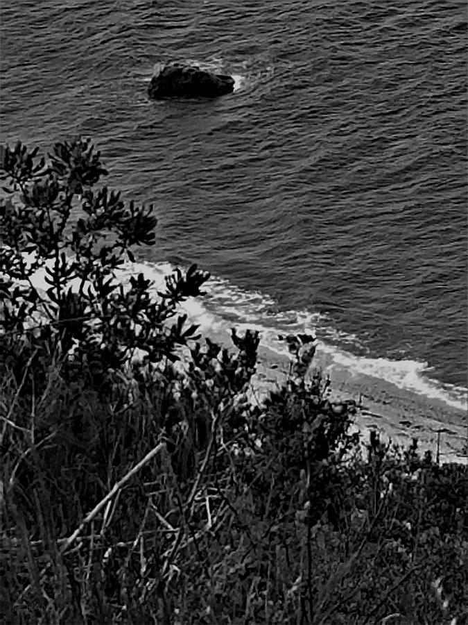 Long Island Sound Beach Rock B W Photograph by Rob Hans