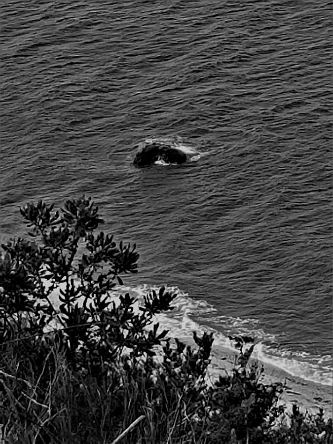Long Island Sound Waves B  W Photograph by Rob Hans