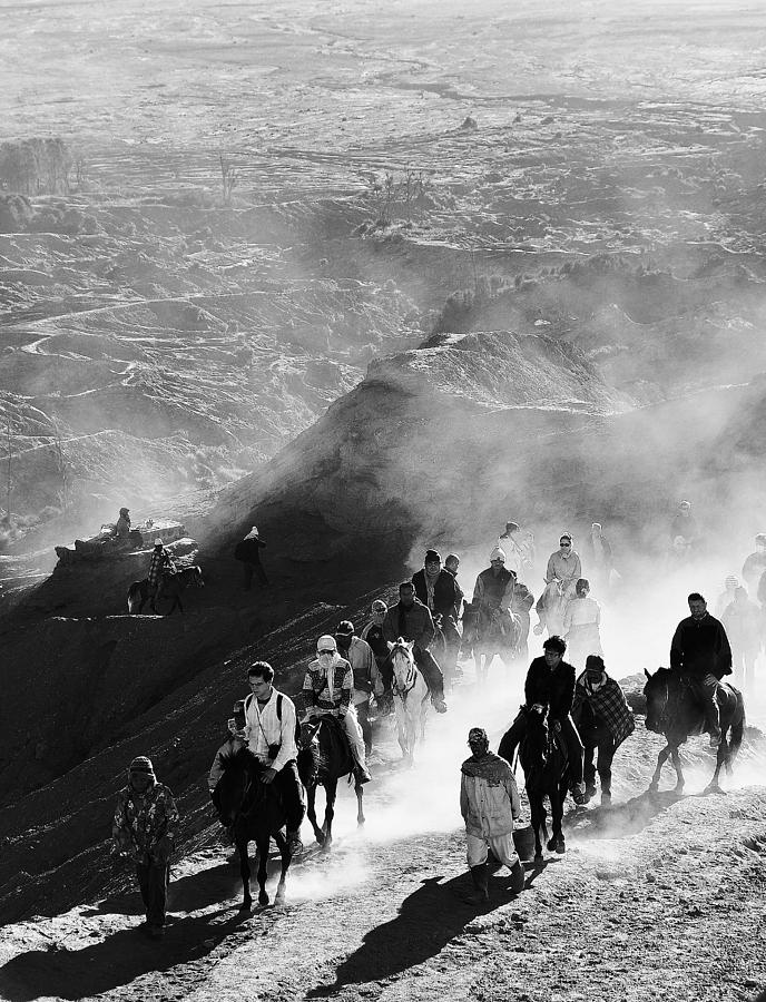 Horse Photograph - Long Journey by Angela Muliani Hartojo