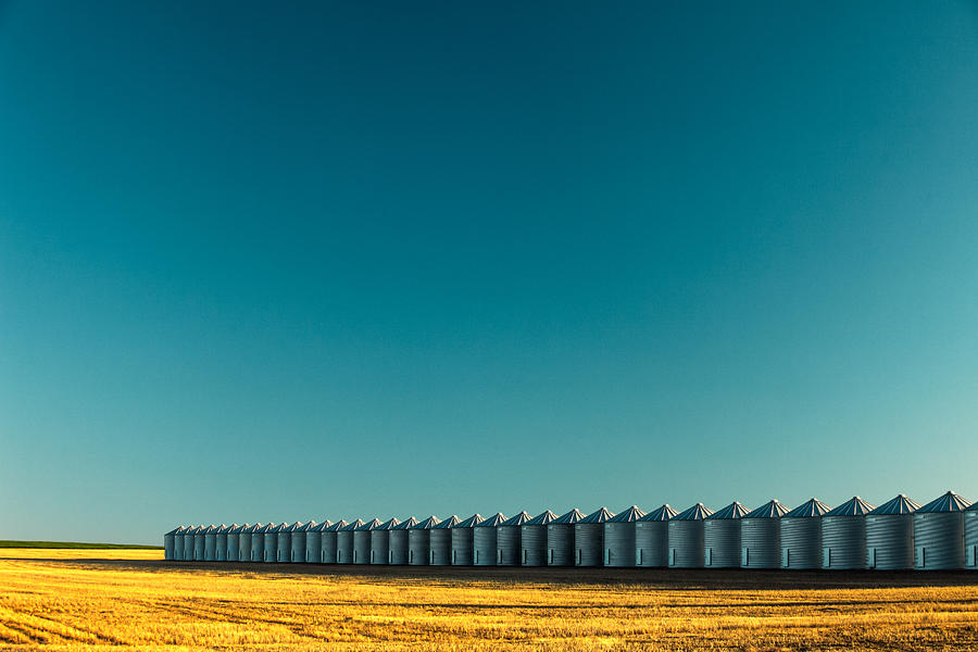 Long Line of Bins Photograph by Todd Klassy