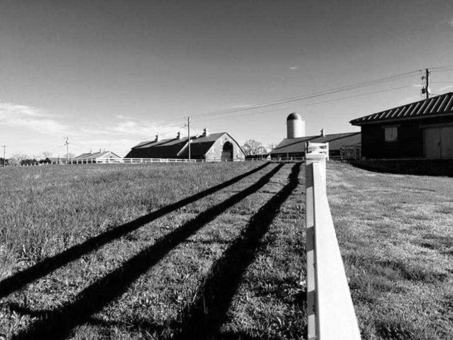 Barn Photograph - Long Line To The Barn #barn #monastery by Steven Gordon