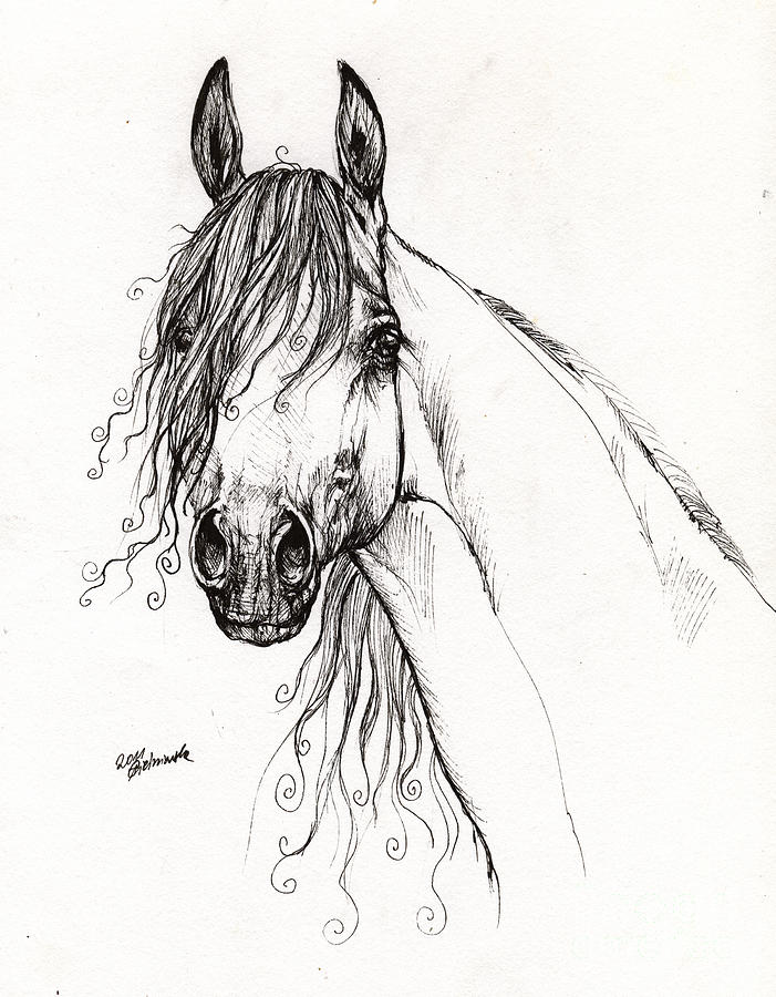 Long Long Mane Drawing by Angel Ciesniarska