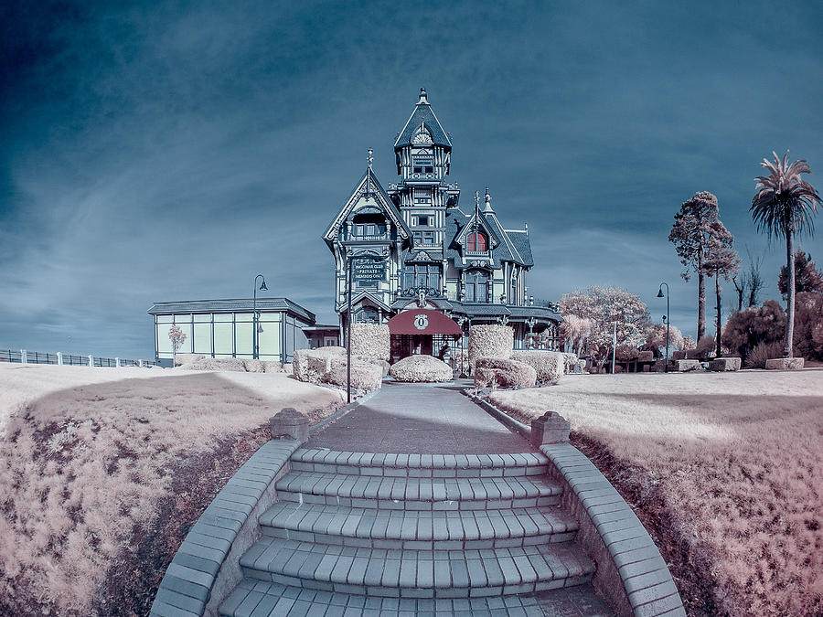 Long Pathway to Carson Mansion Photograph by Greg Nyquist