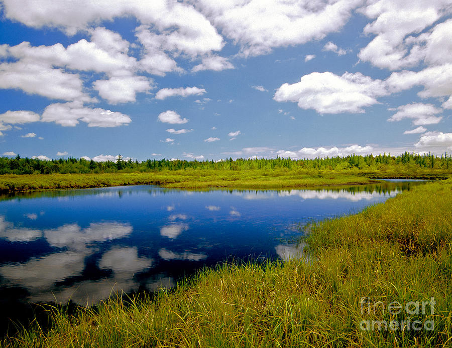 Long Pond Photograph by Michael P Gadomski