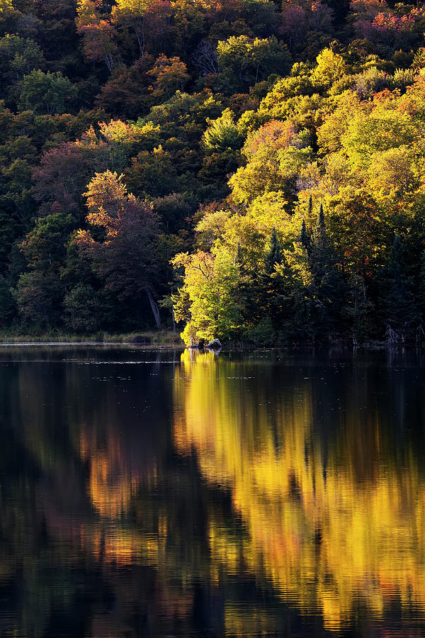 Long Pond September Reflections Photograph by Alan L Graham