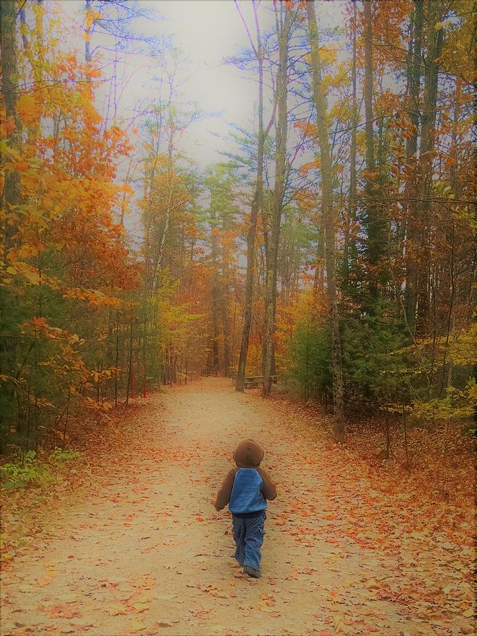 Fall Photograph - Heading for Heaven by Amanda Johnson