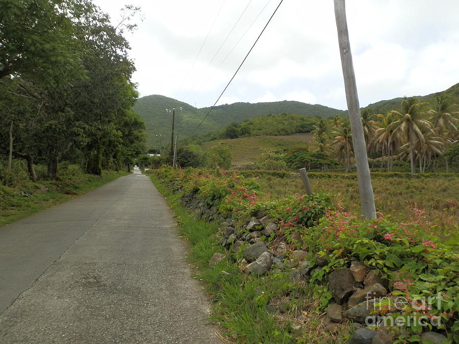 Long road into Colombier Photograph by Margaret Brooks