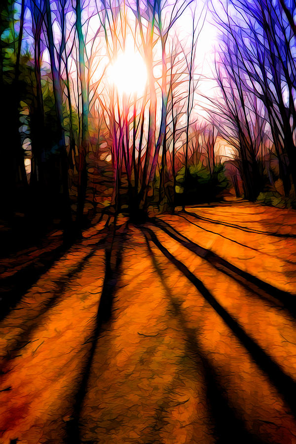 Long shadows 2 Digital Art by Lilia S