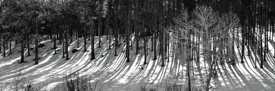 Long Shadows - Black and White Photograph by Gregory Ballos